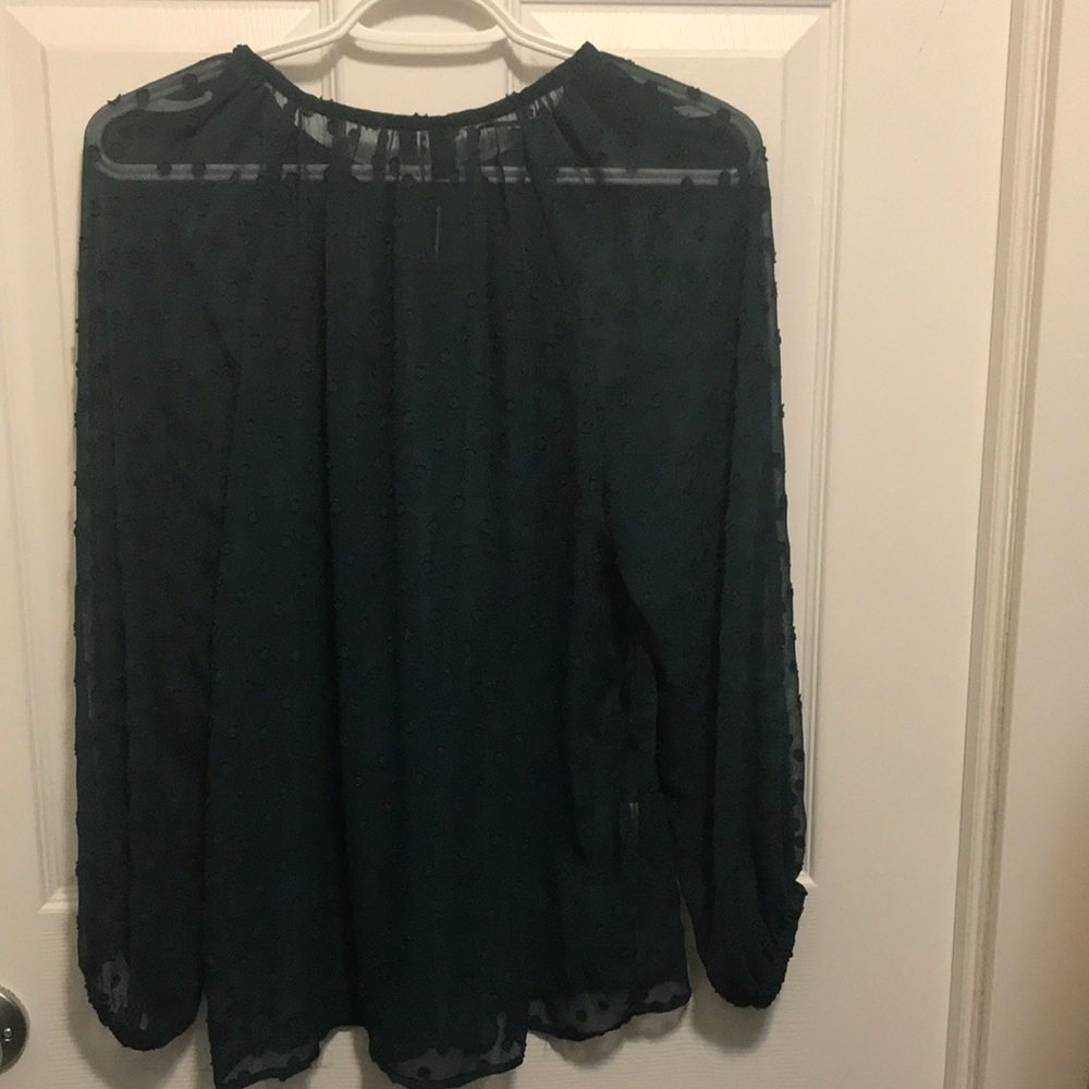 EUC sheer  mango blouse